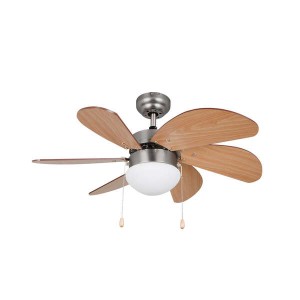 Ventilatore da soffitto...