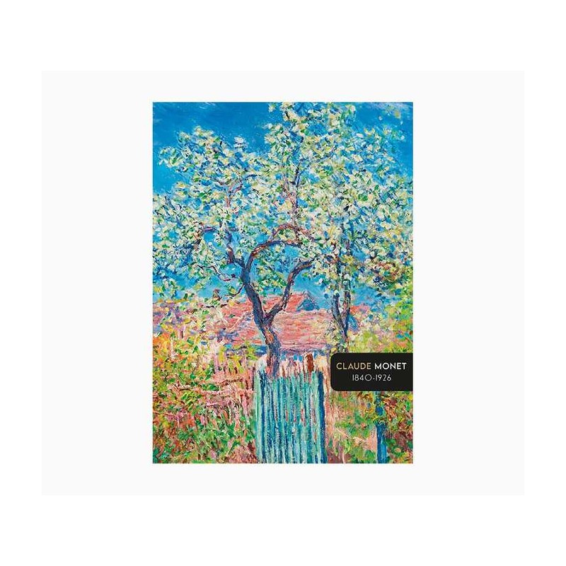Pictura Notebook A5 - 15x21cm - 48 pagine foderate - Carta certificata FSC