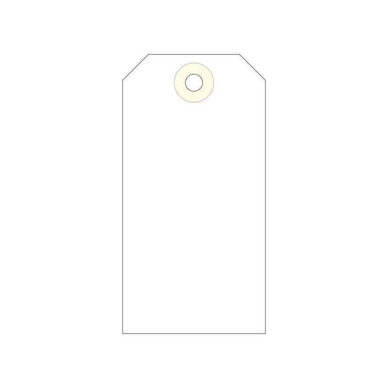 Etichette Apli con rondella 100 x 51 mm 1.000 pz.
