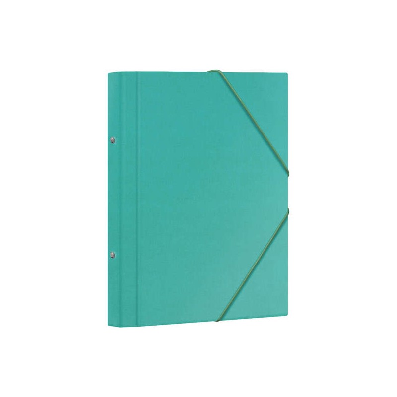 Cartella Dohe a 12 scomparti - Formato Folio - Cartone laminato - Chiusura con fascette di gomma - Colore verde chiaro