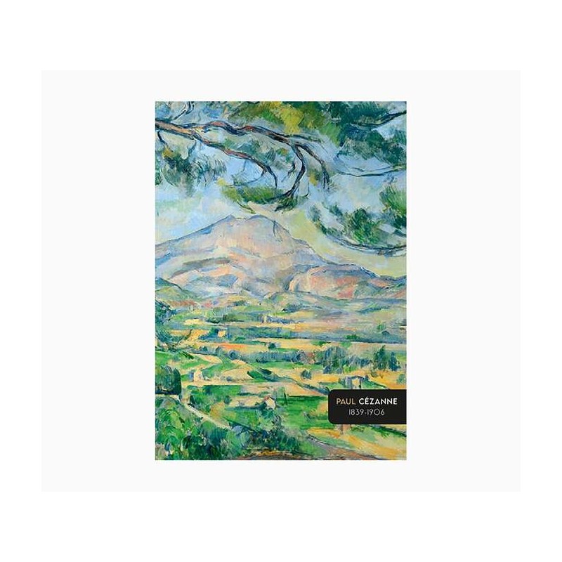 Pictura Notebook A6 - 105x150mm - Pinzato - 48 pagine foderate - Carta certificata FSC