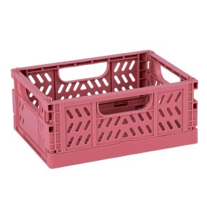 Apli Up North Confezione da...