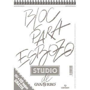 Canson Sketch Pad A4 90+10...