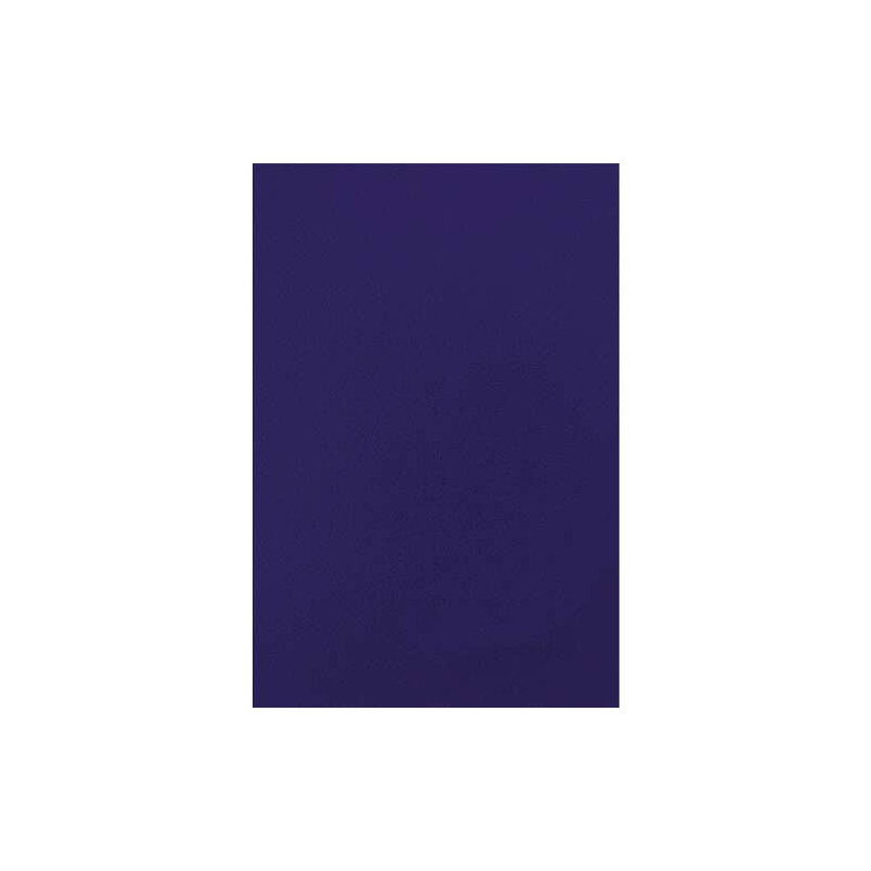Fellowes Confezione da 50 copertine in cartoncino simil-pelle A4 - 750 g - Blu - Colore: Blu