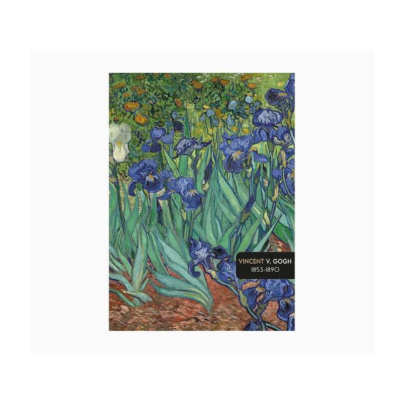 Pictura Notebook A5 - 15x21cm - 48 pagine foderate - Carta certificata FSC