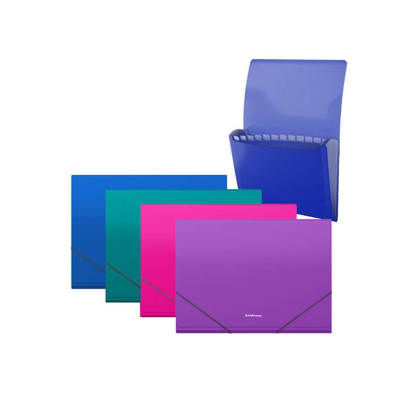 Cartella / raccoglitore Erichkrause Matt Vivid con 12 tasche A4 - Finitura opaca - Colori assortiti