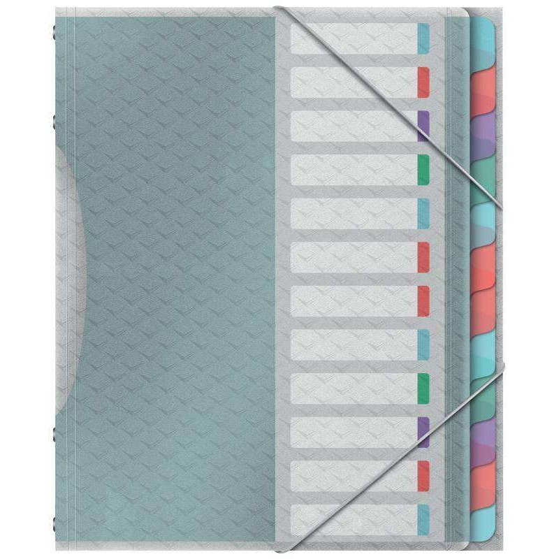 Raccoglitore ad anelli Esselte Colour'Breeze a 12 lembi multicolore - Per formato A4 - 3 lembi sul retro - Polipropilene