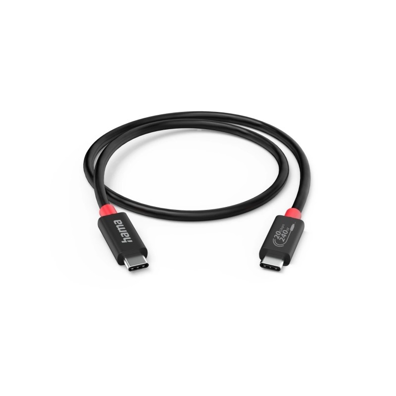 Cavo USB-C maschio Hama Essential - Potenza massima 240 W - Lunghezza 2 m - Velocità fino a 20 Gbps - Doppia schermatur