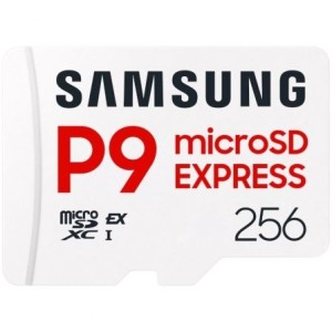 Samsung P9 Scheda Micro...