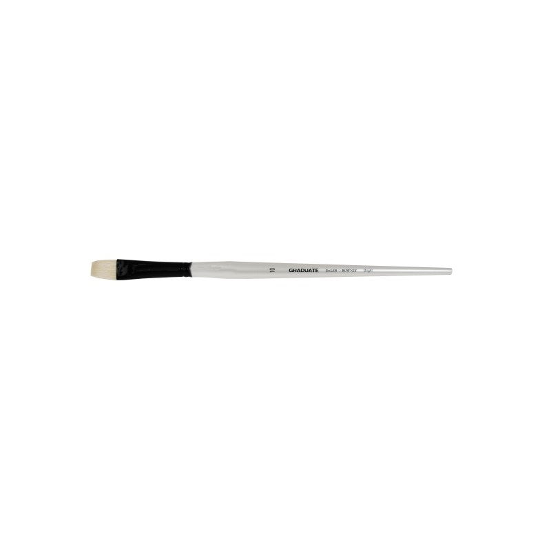 Daler Rowney Graduate Pennello per pittura a olio - Setole naturali - Manico lungo - Bright - N. 10