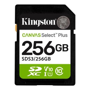 Scheda SDXC Kingston da 256...
